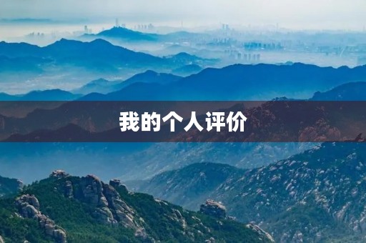 我的个人评价