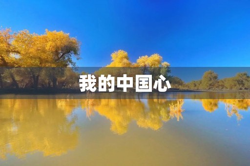 我的中国心