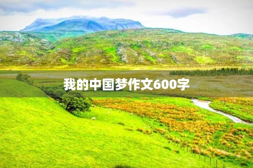 我的中国梦作文600字