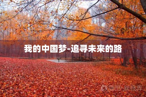 我的中国梦-追寻未来的路