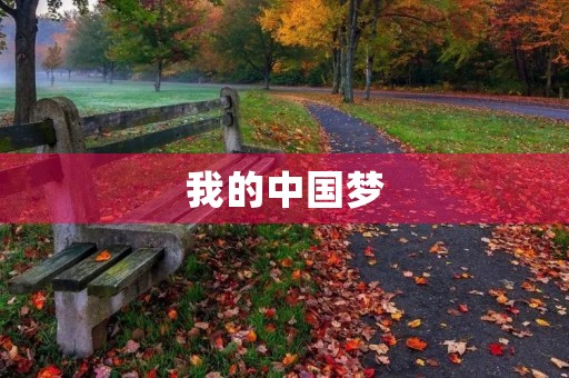 我的中国梦 我的中国梦