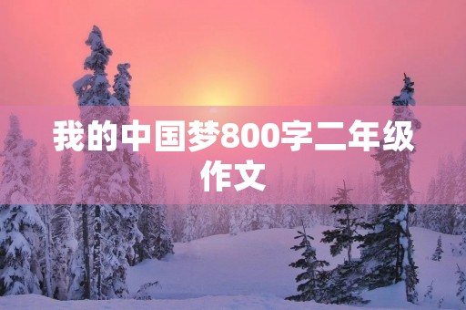 我的中国梦800字二年级作文