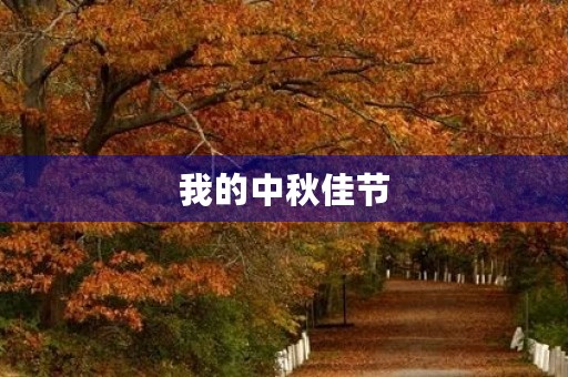 我的中秋佳节 我的中秋佳节