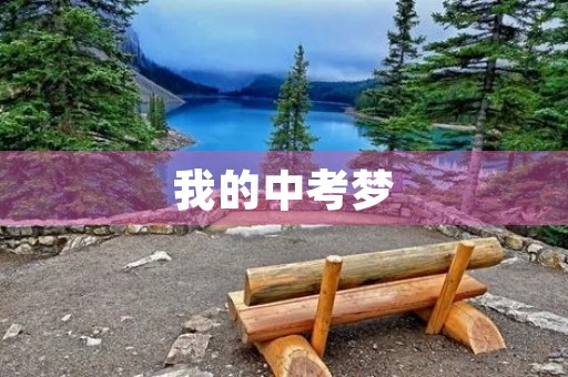 我的中考梦