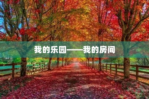 我的乐园——我的房间