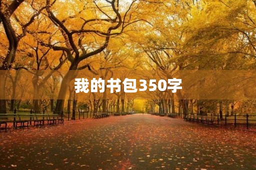 我的书包350字