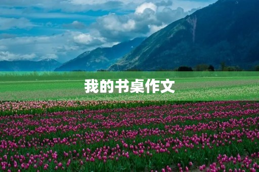 我的书桌作文