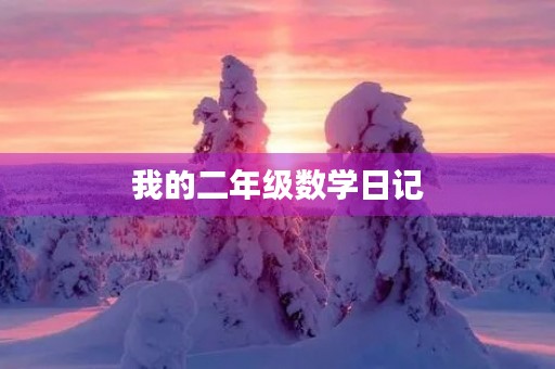 我的二年级数学日记