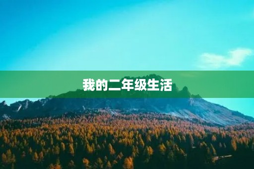 我的二年级生活 我的二年级生活