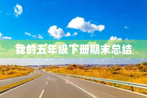 我的五年级下册期末总结