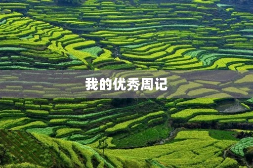 我的优秀周记