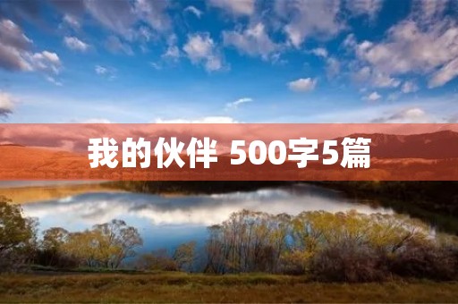 我的伙伴 500字5篇