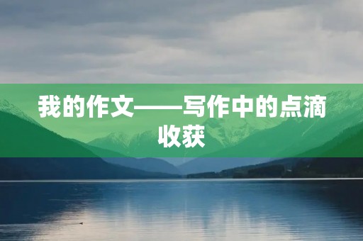 我的作文——写作中的点滴收获