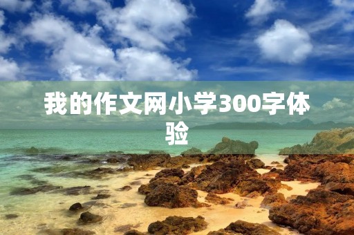 我的作文网小学300字体验 我的作文网小学300字体验