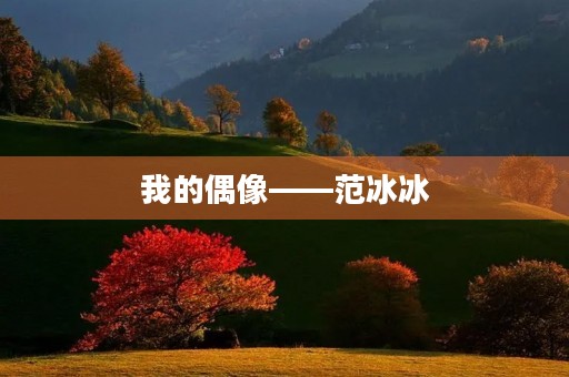我的偶像——范冰冰 我的偶像——范冰冰