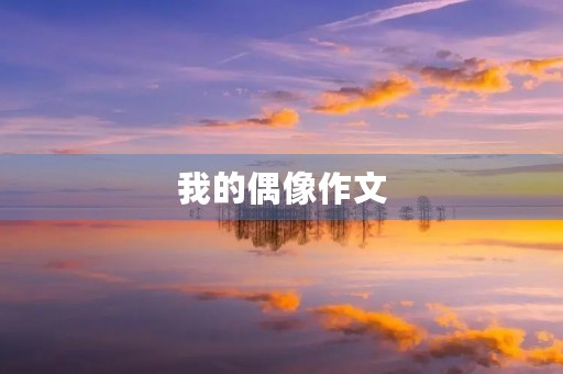 我的偶像作文 我的偶像作文