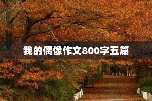 我的偶像作文800字五篇