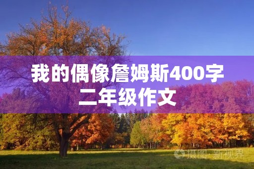 我的偶像詹姆斯400字二年级作文