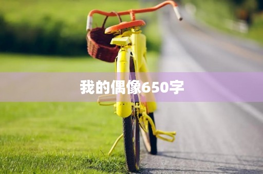 我的偶像650字