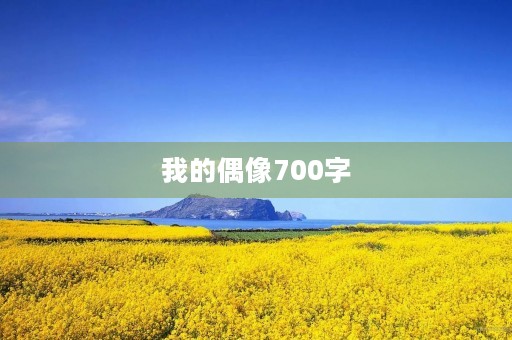 我的偶像700字