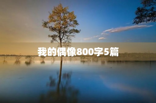 我的偶像800字5篇
