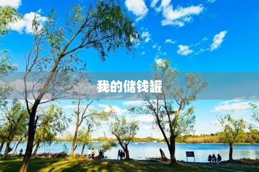 我的储钱罐 我的储钱罐