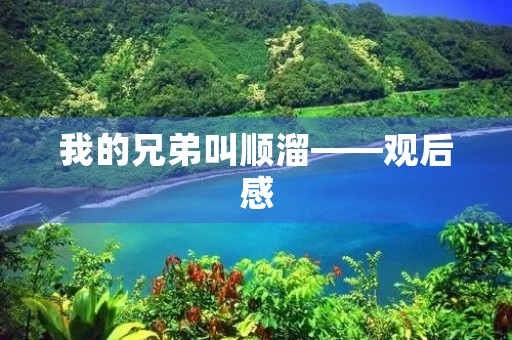 我的兄弟叫顺溜——观后感 我的兄弟叫顺溜——观后感