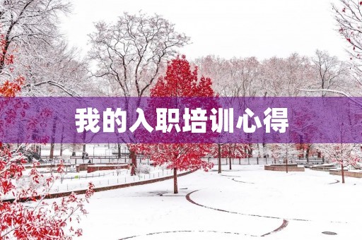 我的入职培训心得