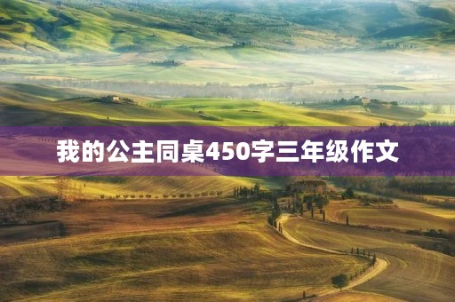 我的公主同桌450字三年级作文