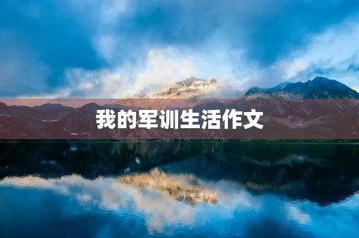 我的军训生活作文 我的军训生活作文