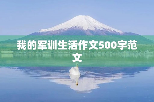 我的军训生活作文500字范文