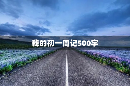 我的初一周记500字