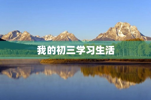 我的初三学习生活