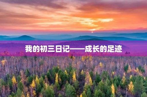 我的初三日记——成长的足迹