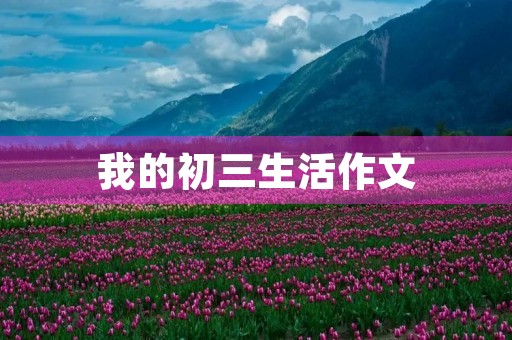 我的初三生活作文