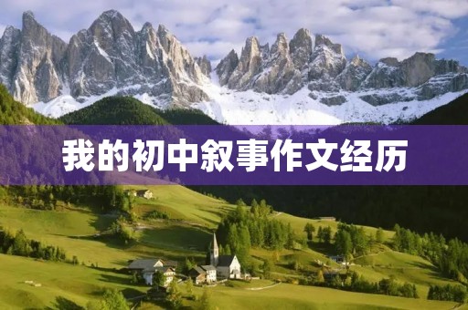 我的初中叙事作文经历