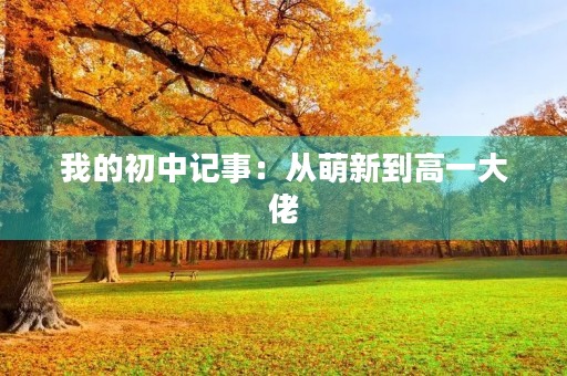 我的初中记事:从萌新到高一大佬 我的初中记事:从萌新到高一大佬