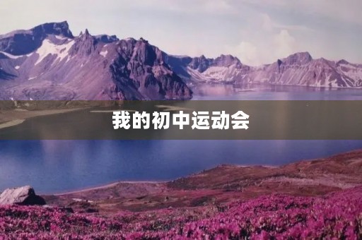 我的初中运动会 我的初中运动会