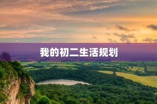 我的初二生活规划