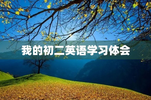 我的初二英语学习体会