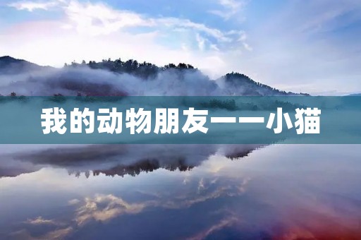 我的动物朋友一一小猫 我的动物朋友一一小猫