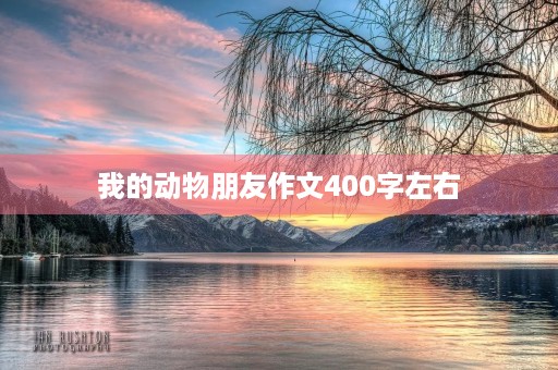 我的动物朋友作文400字左右 我的动物朋友作文400字左右