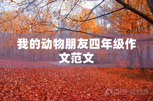 我的动物朋友四年级作文范文
