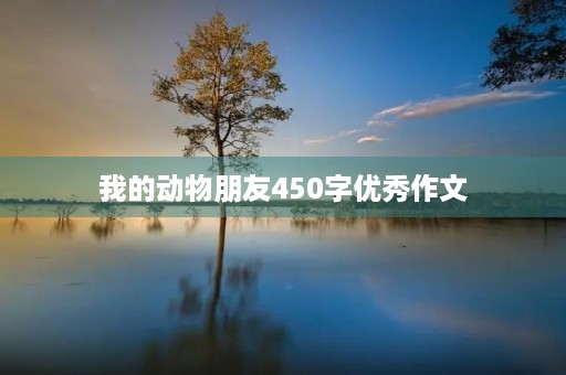 我的动物朋友450字优秀作文
