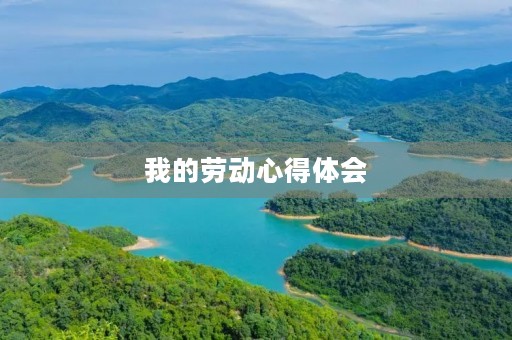 我的劳动心得体会