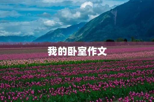 我的卧室作文 我的卧室作文