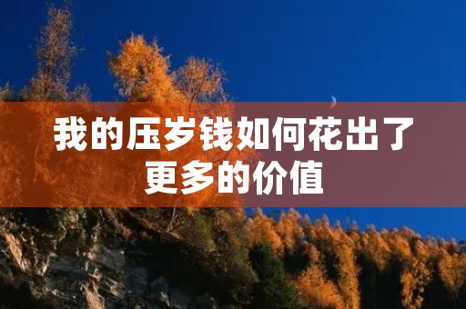 我的压岁钱如何花出了更多的价值 我的压岁钱如何花出了更多的价值
