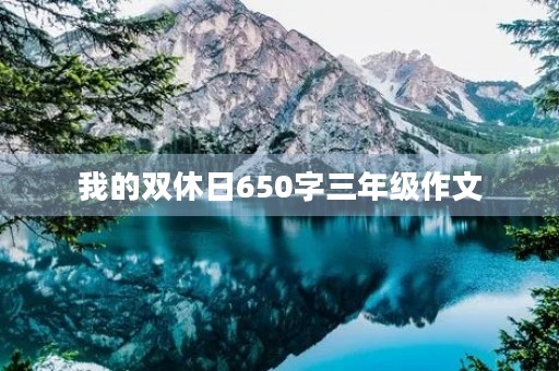我的双休日650字三年级作文