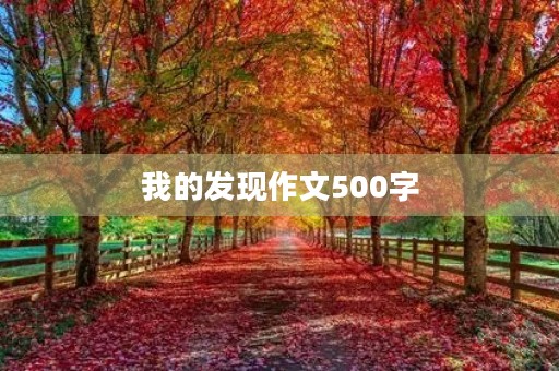 我的发现作文500字 我的发现作文500字