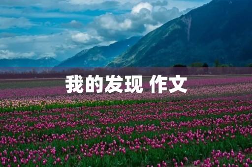 我的发现 作文